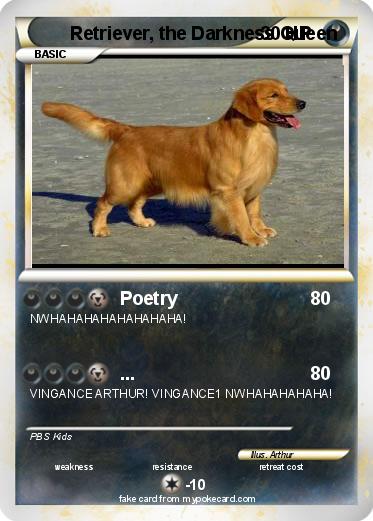 Pokemon Retriever, the Darkness Queen