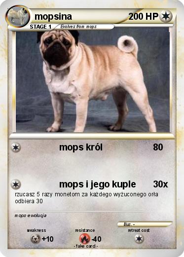 Pokemon mopsina
