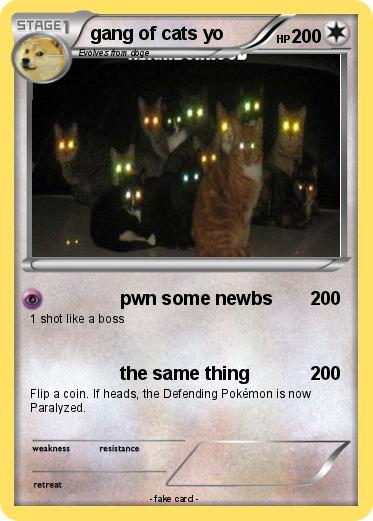 Pokemon gang of cats yo