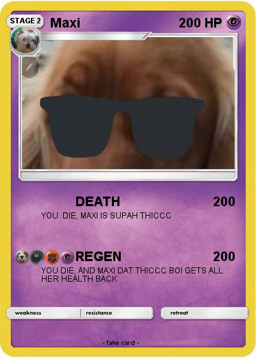 Pokemon Maxi