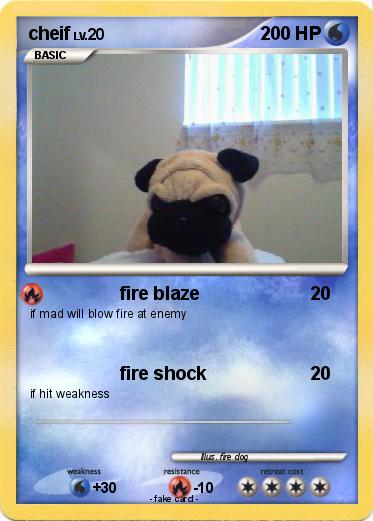 Pokemon cheif