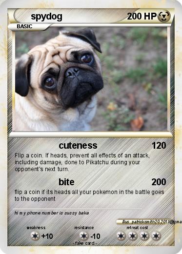Pokemon spydog