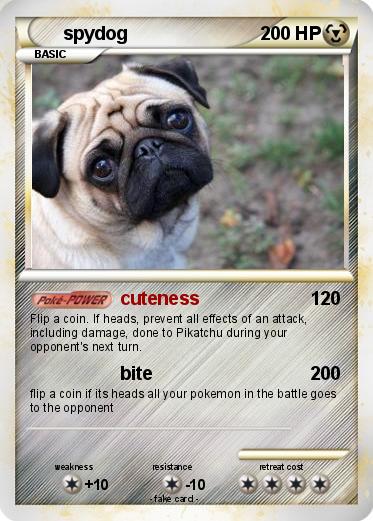 Pokemon spydog