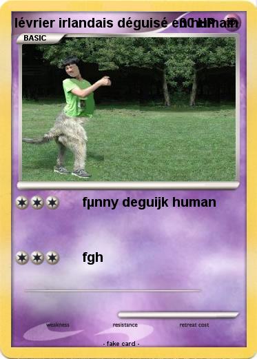 Pokemon lévrier irlandais déguisé en humain