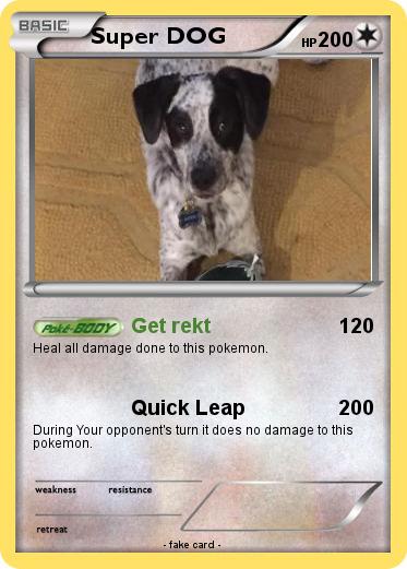 Pokemon Super DOG