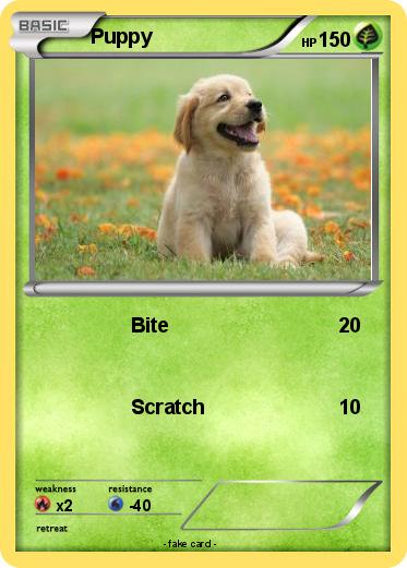 Pokemon Puppy