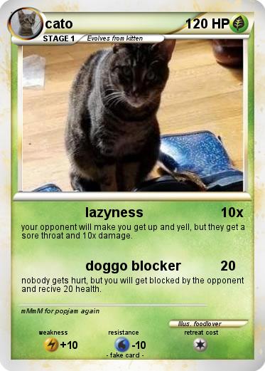 Pokemon cato