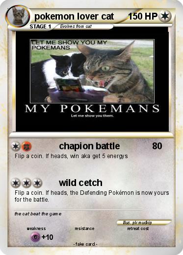 Pokemon pokemon lover cat