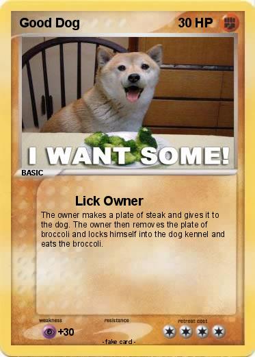 Pokemon Good Dog
