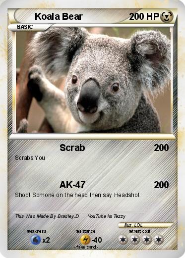 Pokemon Koala Bear