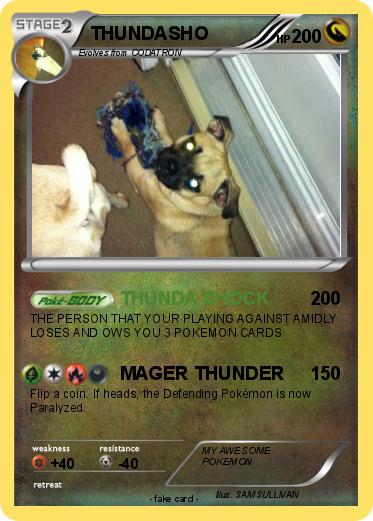 Pokemon THUNDASHO
