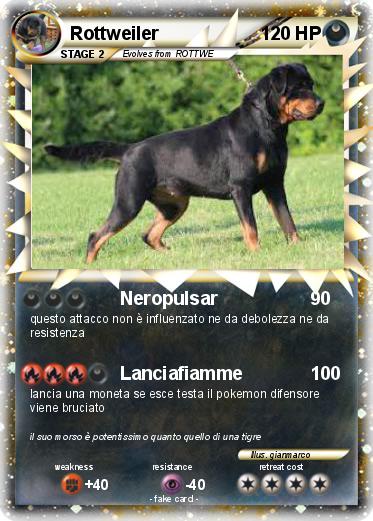 Pokemon Rottweiler