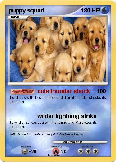 Pokemon puppy squad