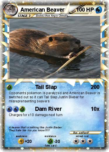 Pokemon American Beaver