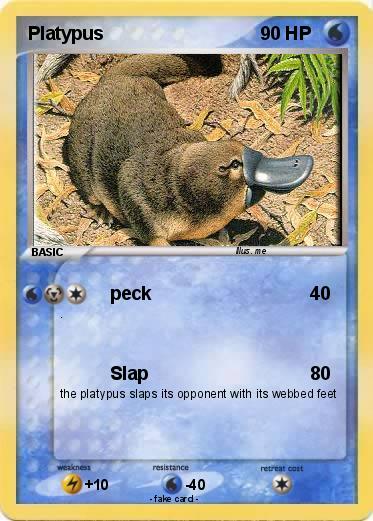 Pokemon Platypus
