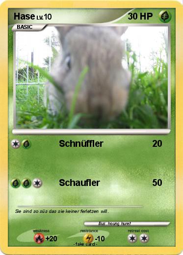 Pokemon Hase