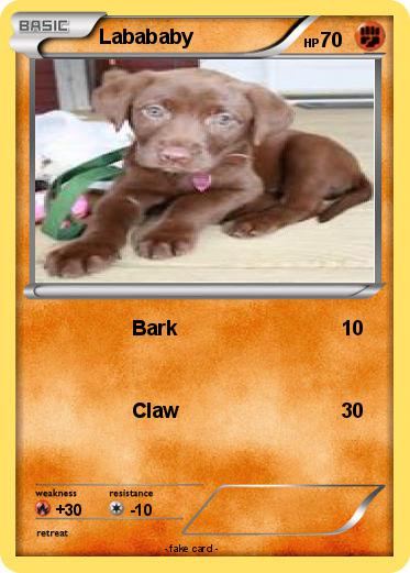 Pokemon Labababy