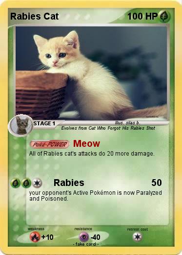 Pokemon Rabies Cat