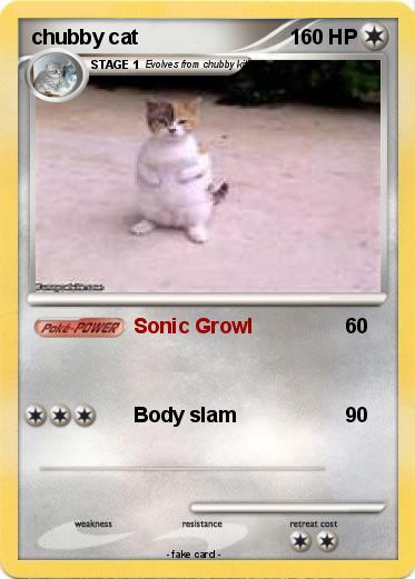 Pokemon chubby cat