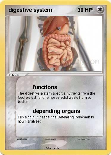 Pokemon digestive system