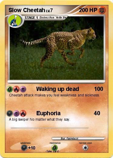 Pokemon Slow Cheetah