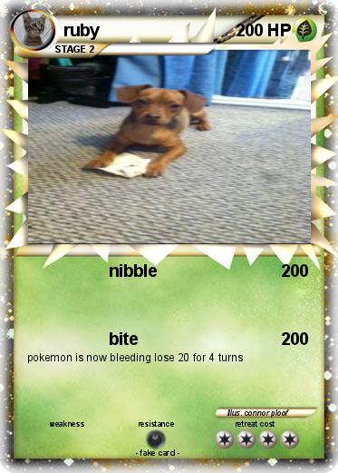 Pokemon ruby