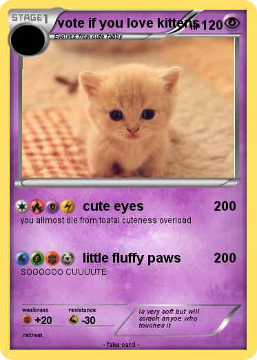 Pokemon vote if you love kittens