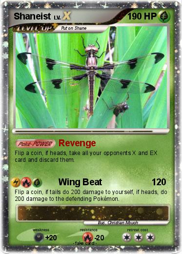 Pokemon Shaneist