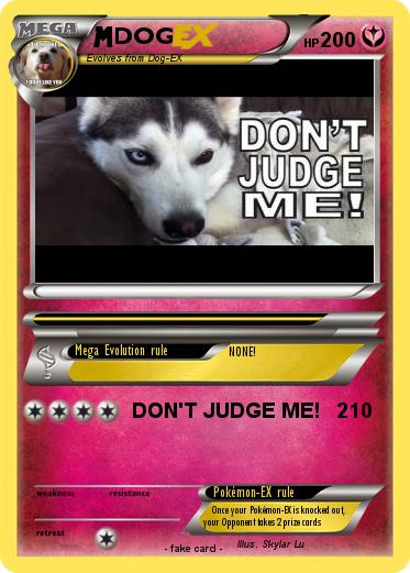 Pokemon DOG