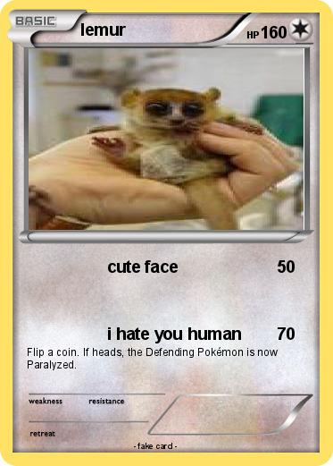 Pokemon lemur