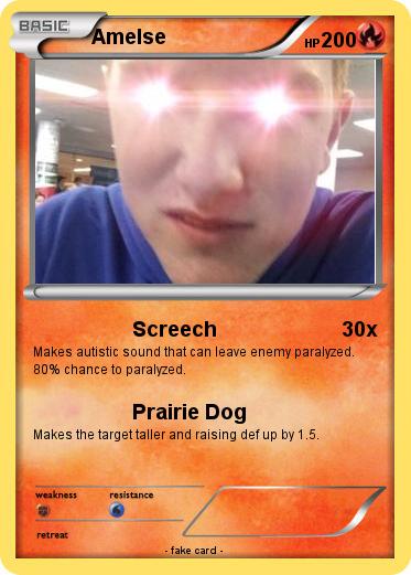 Pokemon Amelse