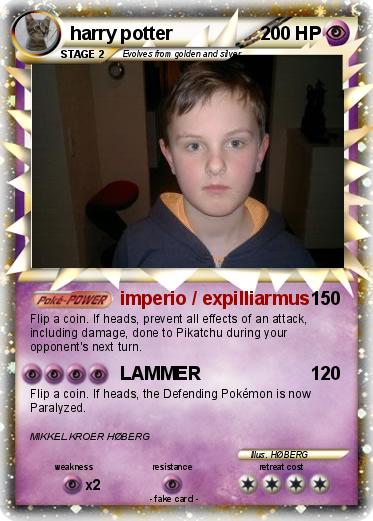 Pokemon harry potter
