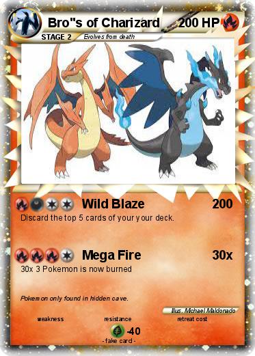 Pokemon Bro"s of Charizard