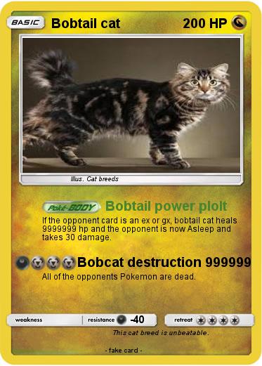Pokemon Bobtail cat