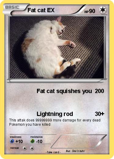 Pokemon Fat cat EX