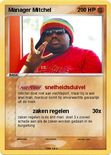 Pokemon Manager Mitchel