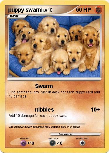 Pokemon puppy swarm