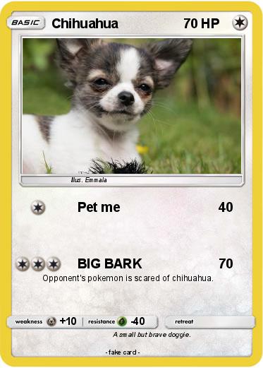 Pokemon Chihuahua