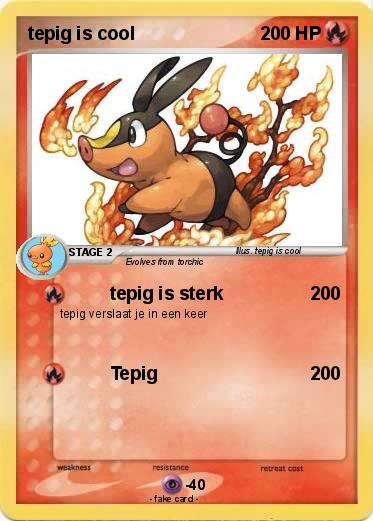 Pokemon tepig is cool