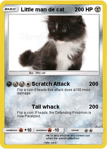 Pokemon Little man de cat