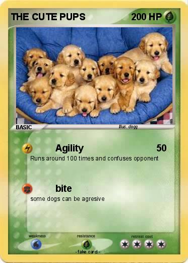 Pokemon THE CUTE PUPS