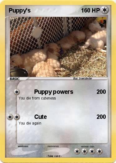 Pokemon Puppy's