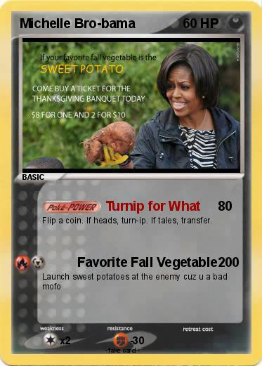 Pokemon Michelle Bro-bama
