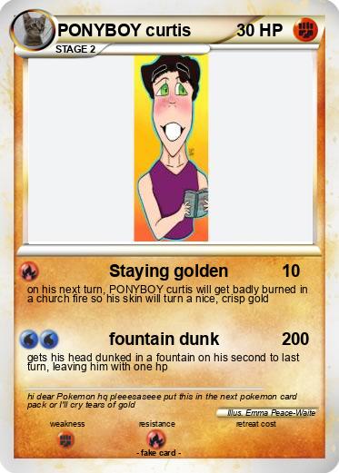Pokemon PONYBOY curtis