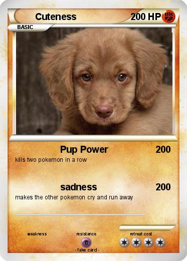 Pokemon Cuteness