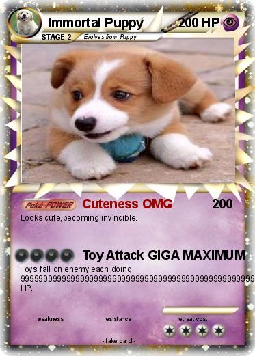 Pokemon Immortal Puppy
