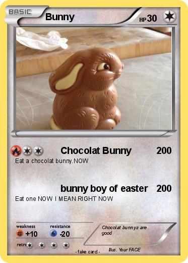 Pokemon Bunny
