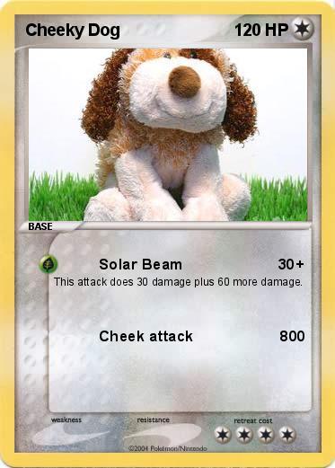 Pokemon Cheeky Dog
