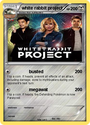 Pokemon white rabbit project