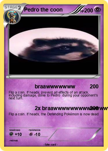Pokemon Pedro the coon